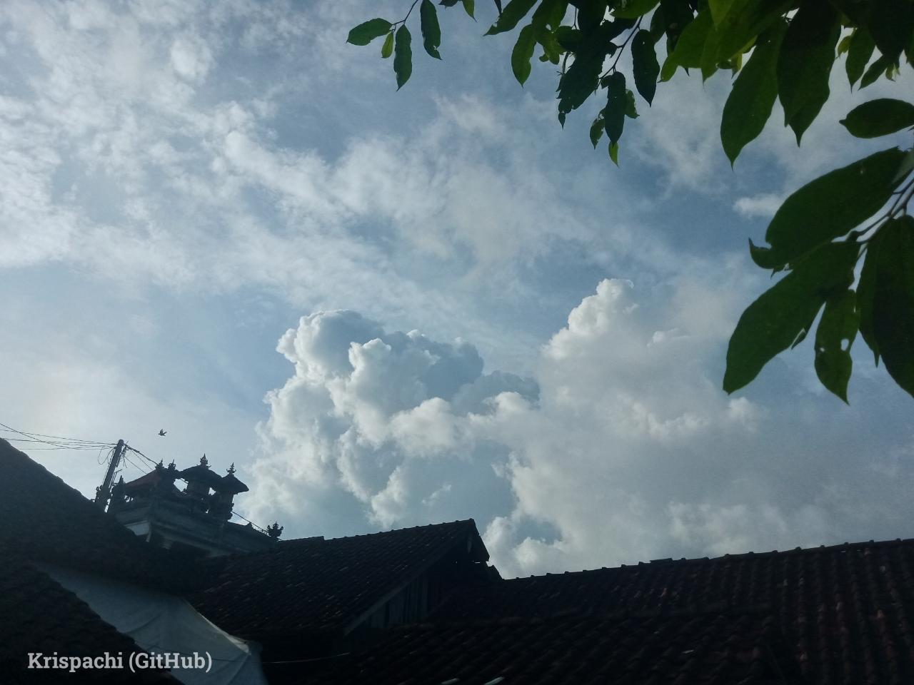 Awan Segar 6